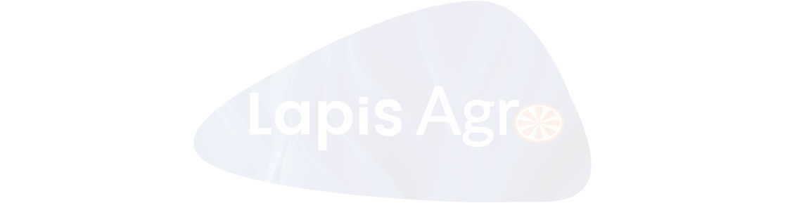 Lapis